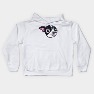 3rd Eye Boston Terrier Kids Hoodie